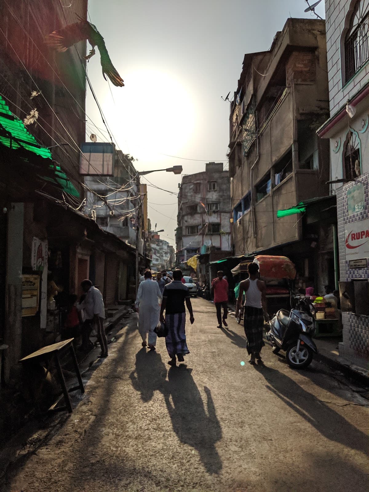 Back in the City of Joy